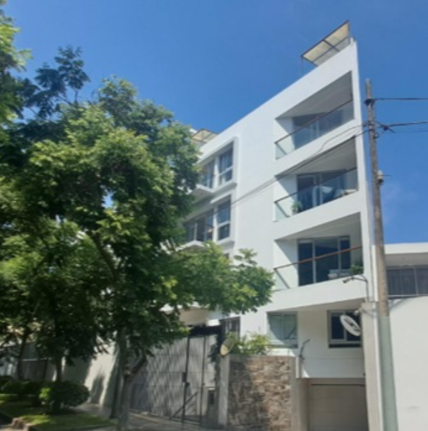 Lote 01